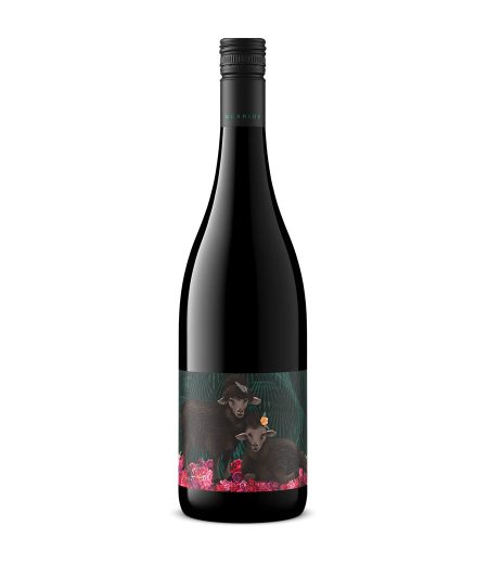 Central Otago, New Zealand 2021